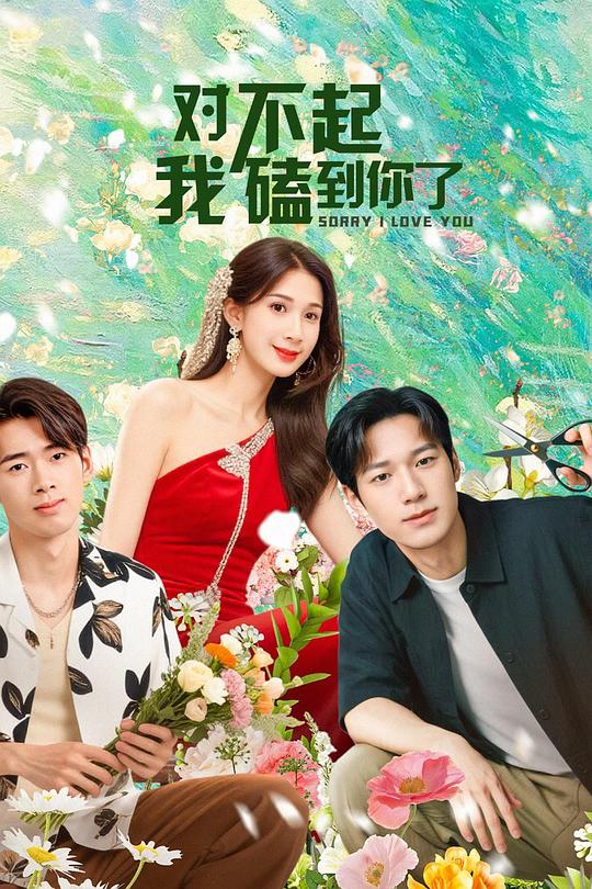 对不起，我磕到你了 海报
