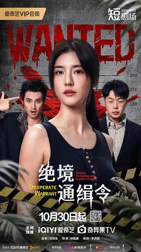 绝境通缉令 海报