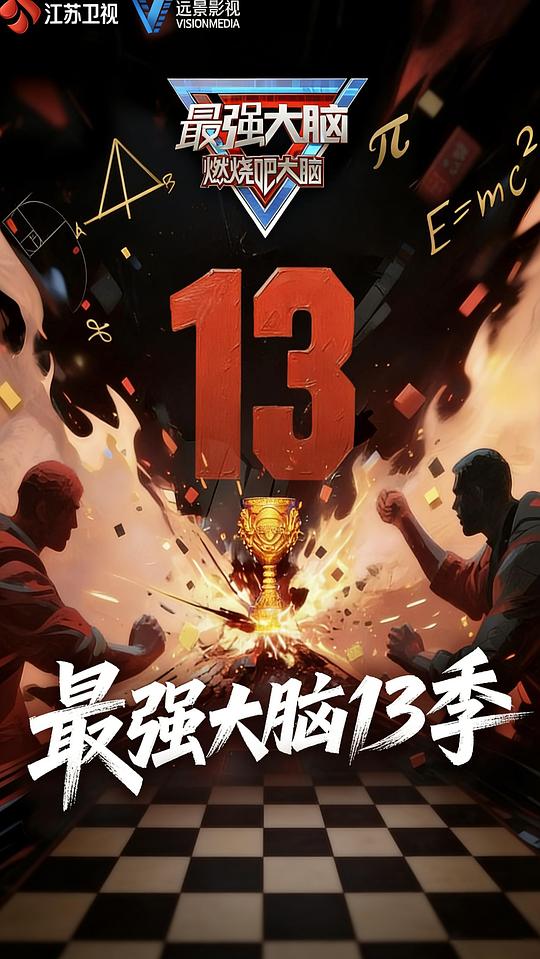 最强大脑 第十三季 海报