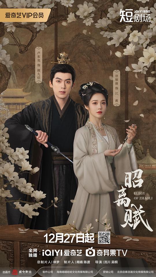 昭离赋 海报