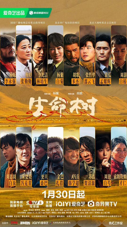 生命树 海报