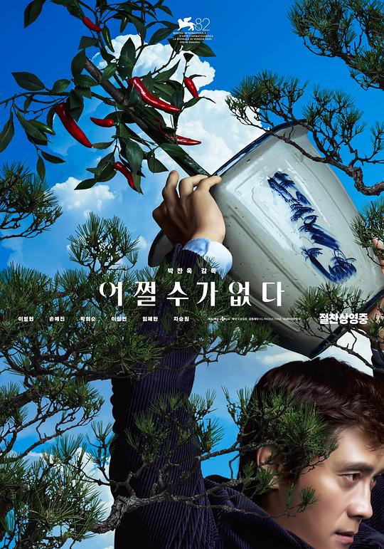 无可奈何 海报