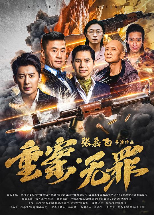 重案·无罪 海报