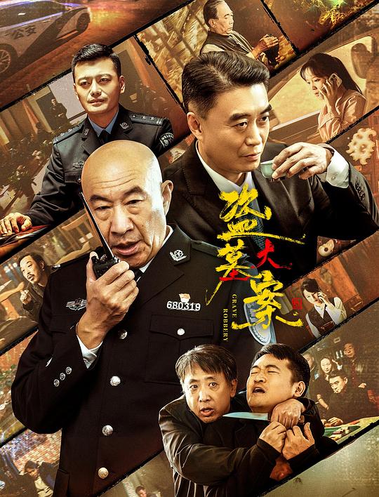 盗墓大案 海报