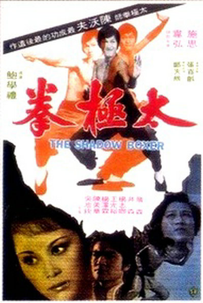 太极拳 海报