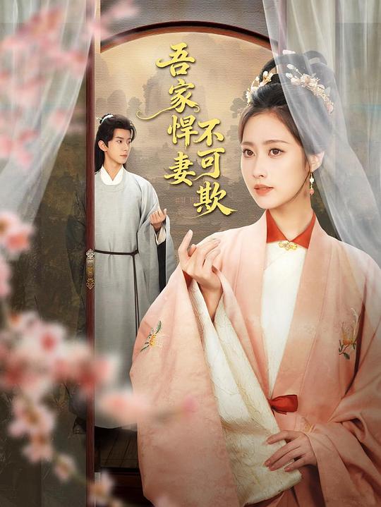 吾家悍妻不可欺 海报