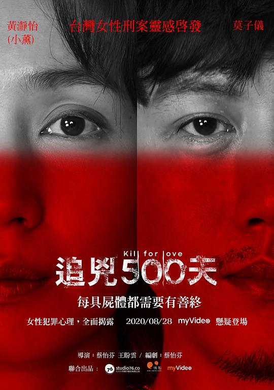 追凶500天 海报
